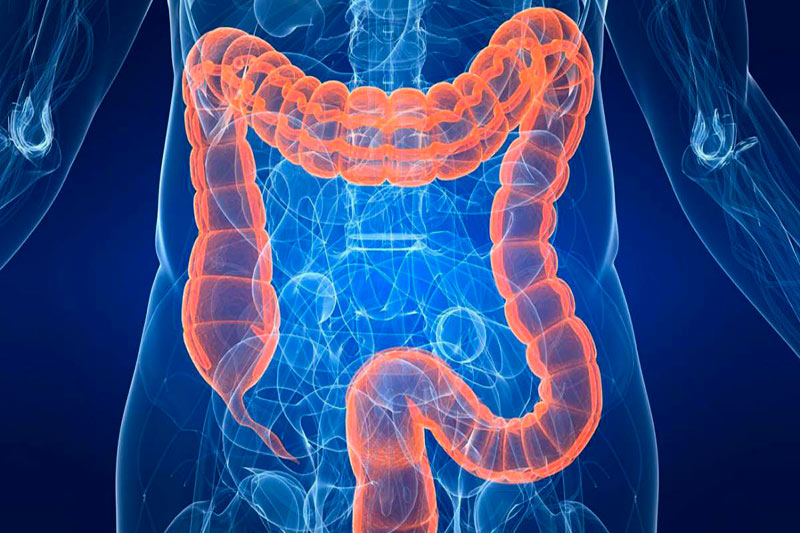 03-07_hidroterapia-de-colon-01